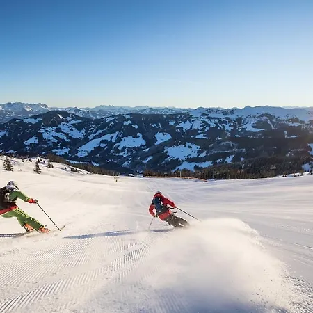 Faerberwirt Отель 3*